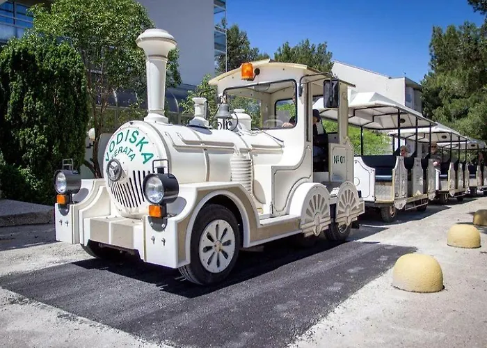 Luxury Mobile Homes - *